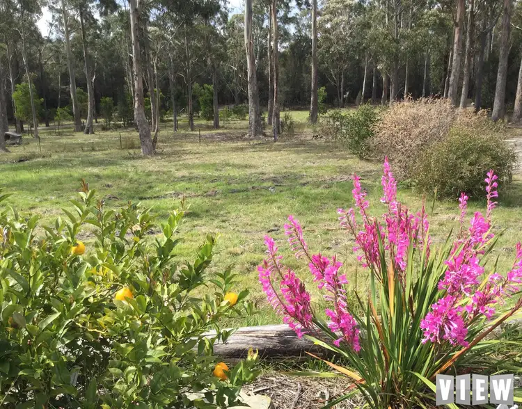 Third view of Homely land listing, 47 Cleland Drive, St Helens TAS 7216