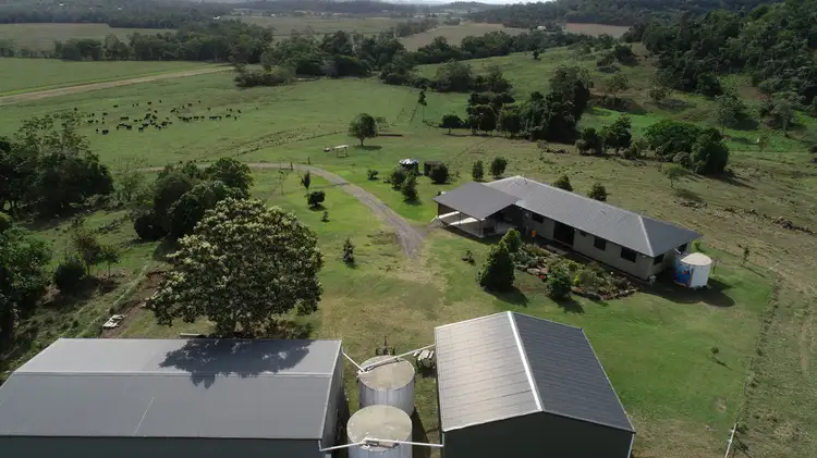 161 MIERS ROAD, Ball Bay QLD 4741