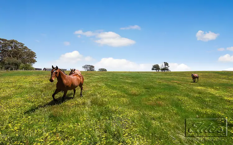 277 Bendigo - Sutton Grange Road, Elphinstone VIC 3448