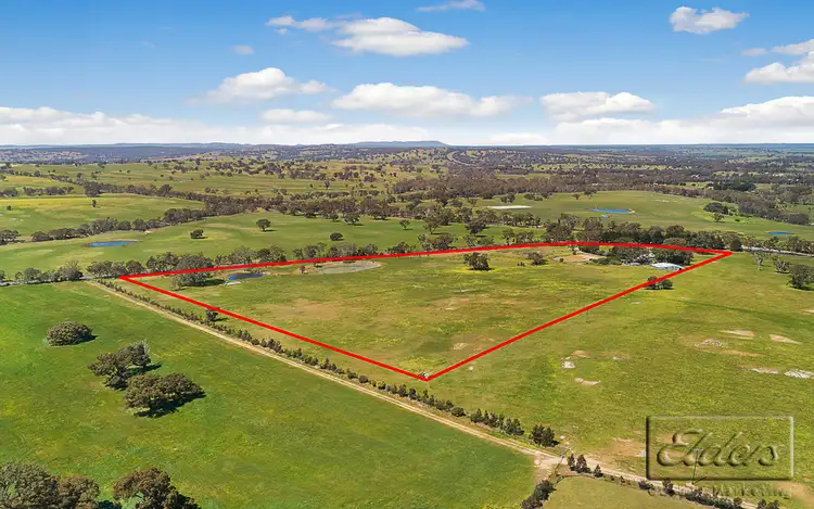 Second view of Homely rural property listing, 277 Bendigo - Sutton Grange Road, Elphinstone VIC 3448