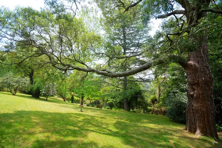 Fifth view of Homely house listing, 4 Westbourne Avenue, Wentworth Falls NSW 2782