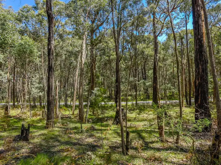 Fourth view of Homely land listing, 339 Trentham Springhill Road, Spring Hill VIC 3444