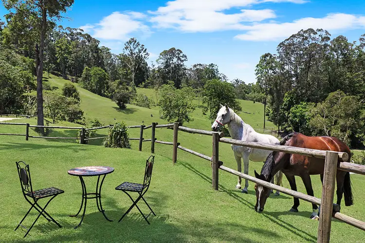 49 Gattera Road, Landsborough QLD 4550