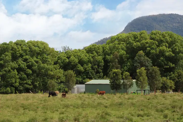 Seventh view of Homely land listing, Lot 1, 50 Gungas Road, Nimbin NSW 2480