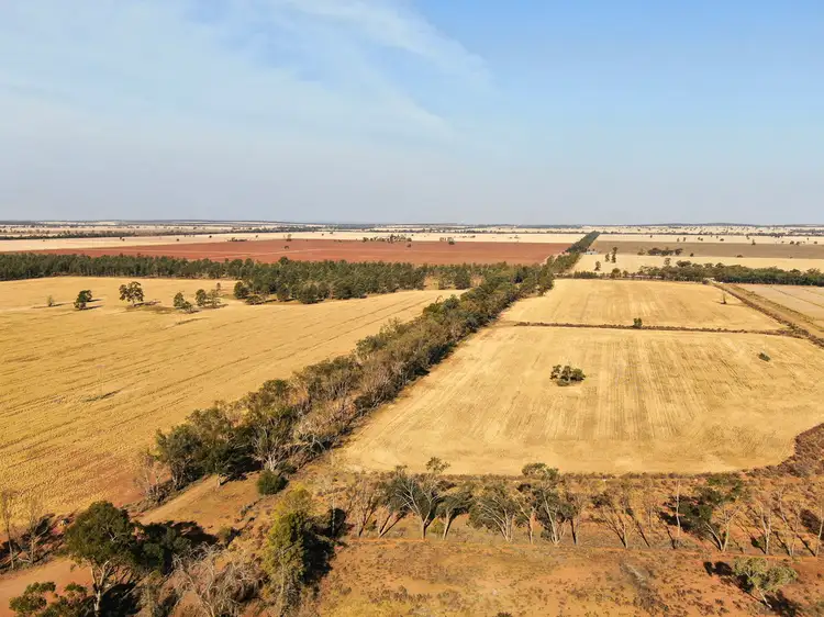 Fourth view of Homely rural property listing, 543 Curlew road, Lake Cargelligo NSW 2672