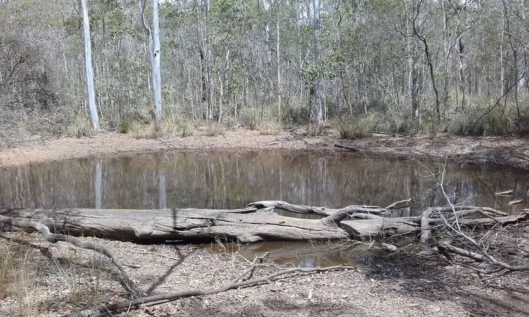 Fifth view of Homely rural property listing, 117 JOYNSONS ROAD, Torbanlea QLD 4662