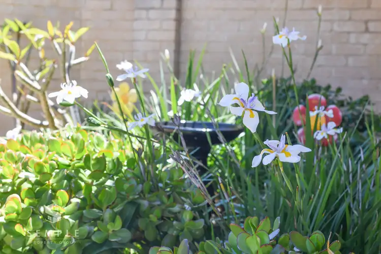 Seventh view of Homely house listing, 10/2 Argyle Place, Yangebup WA 6164