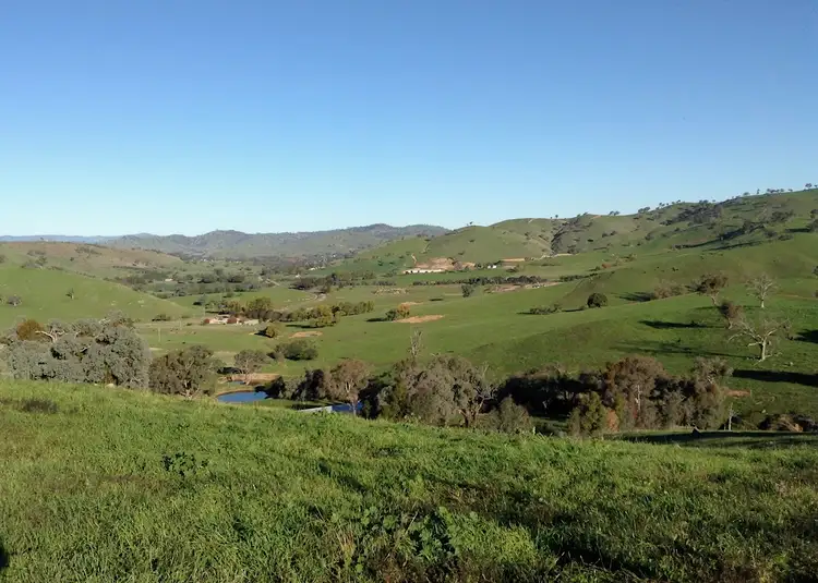 Main view of Homely rural property listing, 111 Reno Rd, Gundagai NSW 2722