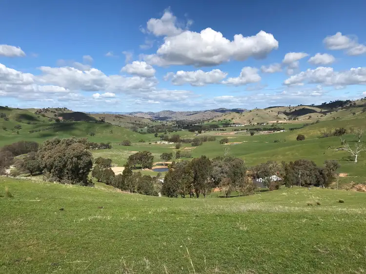 Fifth view of Homely rural property listing, 111 Reno Rd, Gundagai NSW 2722
