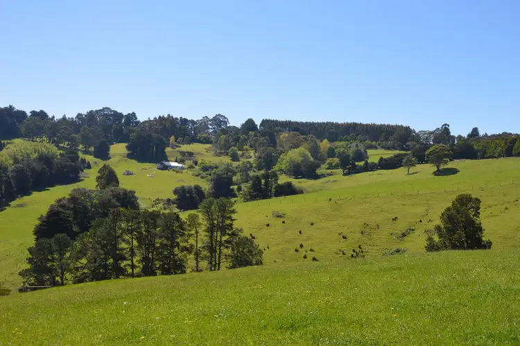 Third view of Homely rural property listing, 26 SHEERS ROAD, Mirboo North VIC 3871