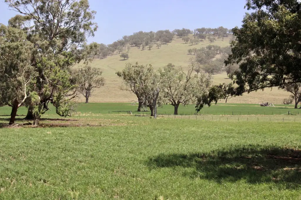 Main view of Homely rural property listing, 1142 Warrah Creek Road, Warrah Creek NSW 2339