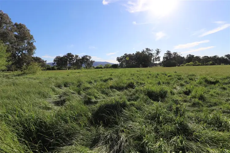 Second view of Homely rural property listing, "San Quentin" Lacmalac Road, Tumut NSW 2720