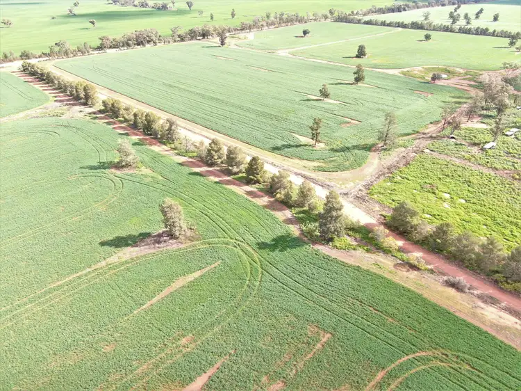 Third view of Homely rural property listing, 364 Rutledges lane, Weethalle NSW 2669