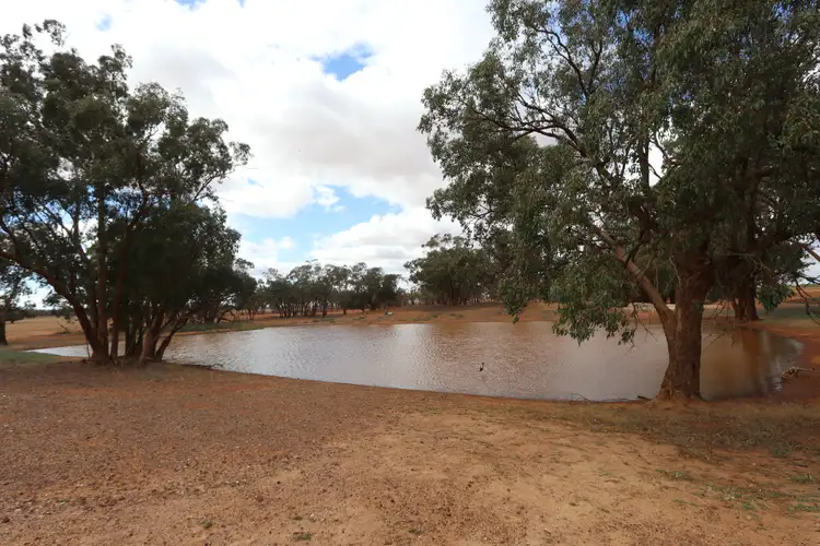 Fifth view of Homely rural property listing, 364 Rutledges lane, Weethalle NSW 2669