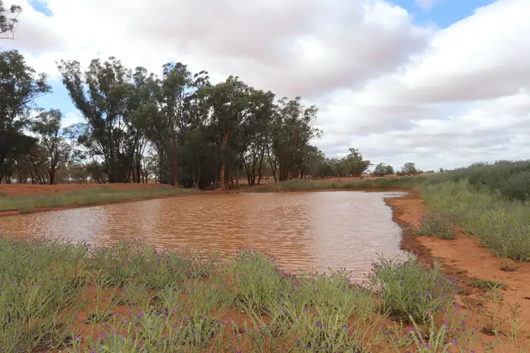 Sixth view of Homely rural property listing, 364 Rutledges lane, Weethalle NSW 2669