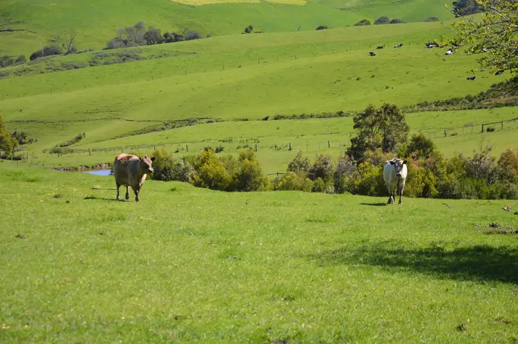 Second view of Homely rural property listing, 70 ARNUPS ROAD, Foster VIC 3960