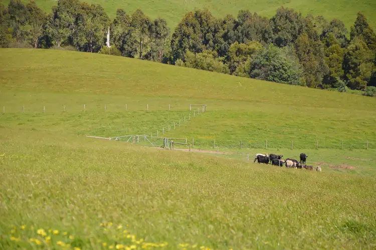 Fourth view of Homely rural property listing, 70 ARNUPS ROAD, Foster VIC 3960