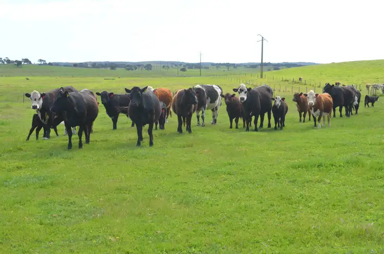Main view of Homely rural property listing, Sec 116 Old Naracoorte Road, Robe SA 5276
