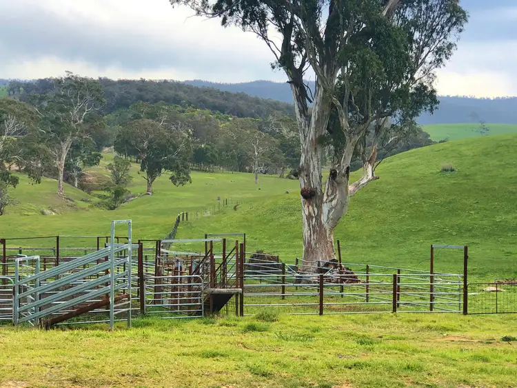 Sixth view of Homely rural property listing, Address available on request