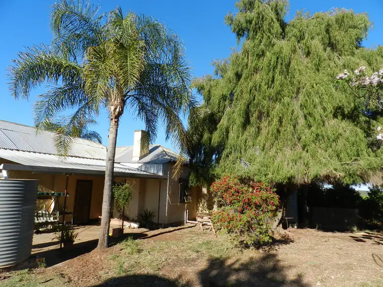 Third view of Homely rural property listing, 300 Dalziel Road, Winkie SA 5343