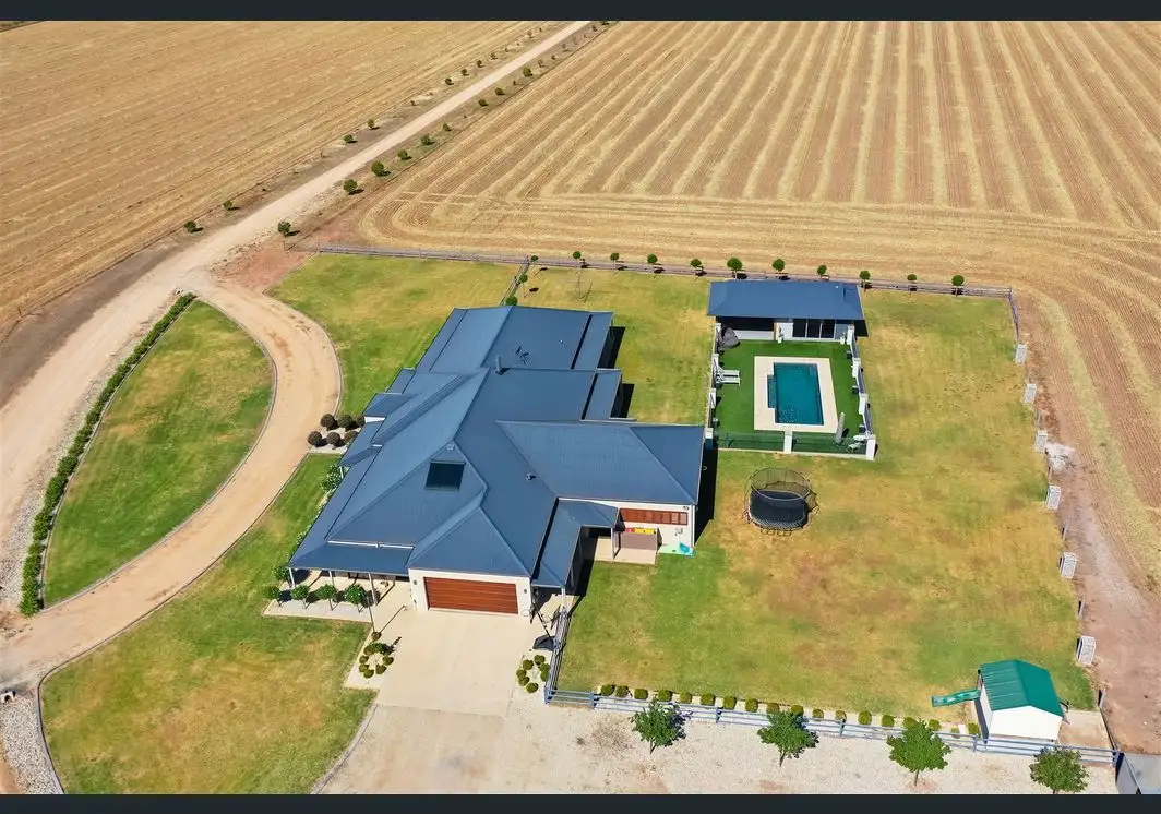 Main view of Homely house listing, 262 Henty Walla Road, Henty NSW 2658