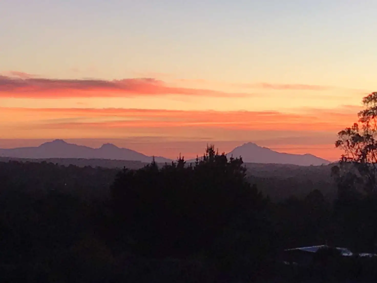 Main view of Homely house listing, 3 Orient Road, Mount Barker WA 6324