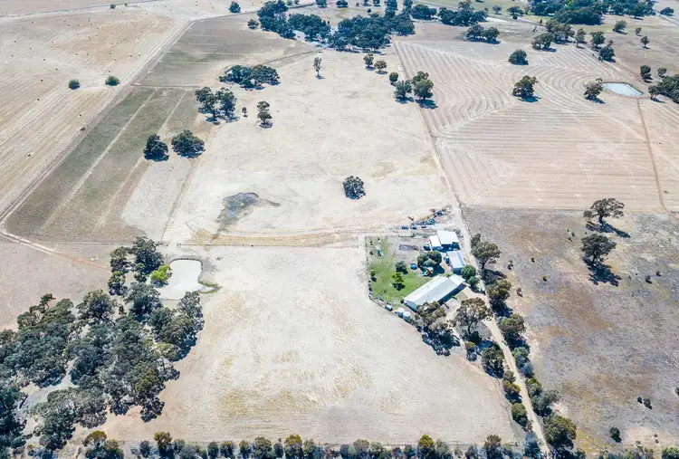 Fifth view of Homely rural property listing, 175 MULLER ROAD, Echuca VIC 3564