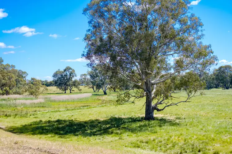 Fourth view of Homely rural property listing, 2711 Midland Highway, Swanpool VIC 3673