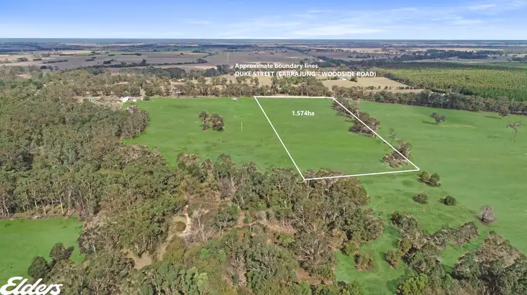 Main view of Homely rural property listing, Lot 1 Duke Street, Woodside VIC 3874