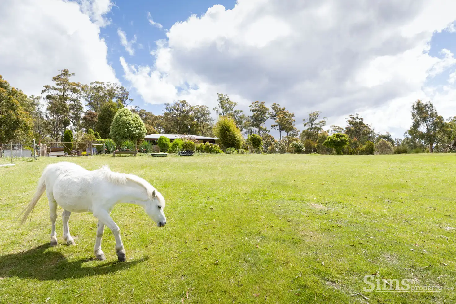 Main view of Homely house listing, 31 Glengarry Road, Glengarry TAS 7275