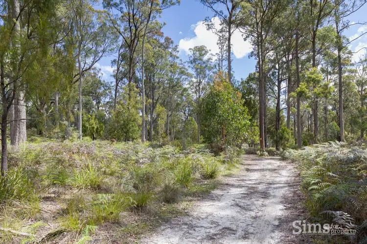 Fifth view of Homely house listing, 31 Glengarry Road, Glengarry TAS 7275