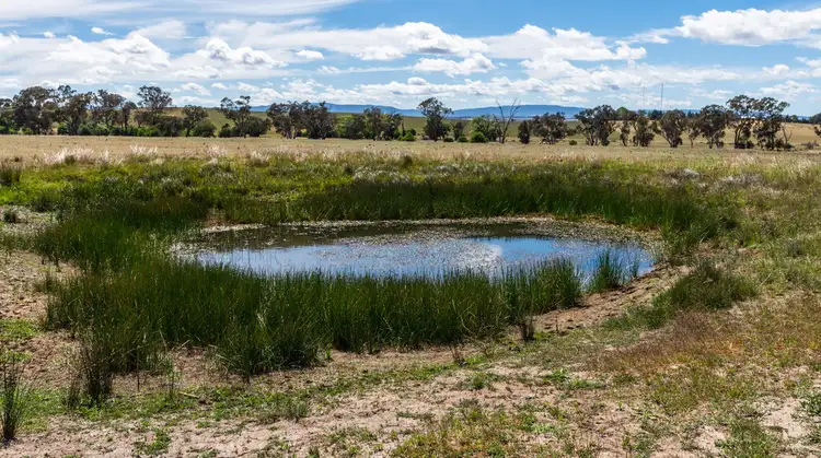 Second view of Homely rural property listing, Lot 1 Freemantle Road, Eglinton NSW 2795