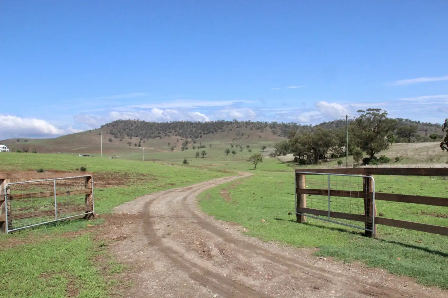 Main view of Homely rural property listing, * "St Heliers East" Wells Gully Road, Aberdeen NSW 2336