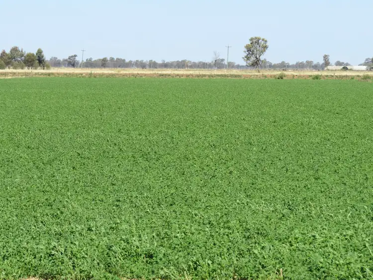 Second view of Homely rural property listing, 1272 Newell Highway, Tocumwal NSW 2714
