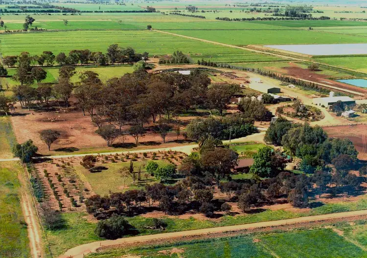 Third view of Homely rural property listing, 1272 Newell Highway, Tocumwal NSW 2714