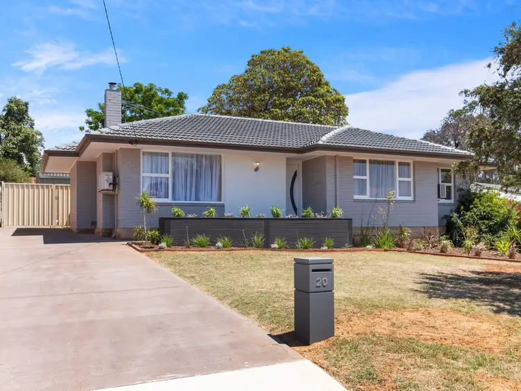 20 Arundle Avenue, Greenmount WA 6056