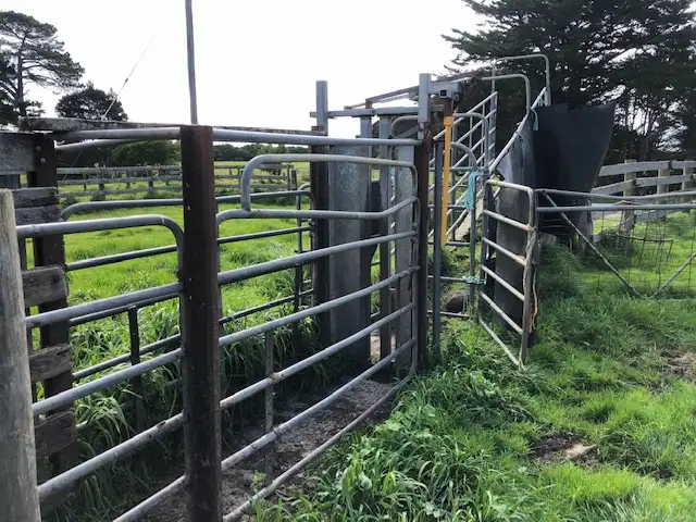 Fourth view of Homely rural property listing, "Bokara" Heddles Road, North Road & Snodgrass Lane, Loorana TAS 7256