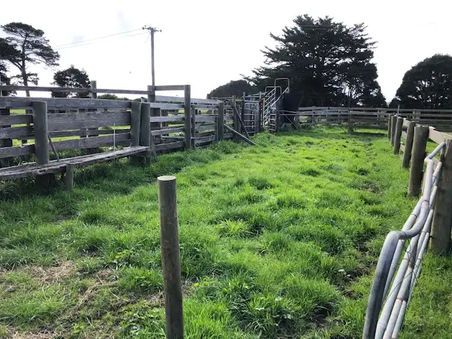 Sixth view of Homely rural property listing, "Bokara" Heddles Road, North Road & Snodgrass Lane, Loorana TAS 7256