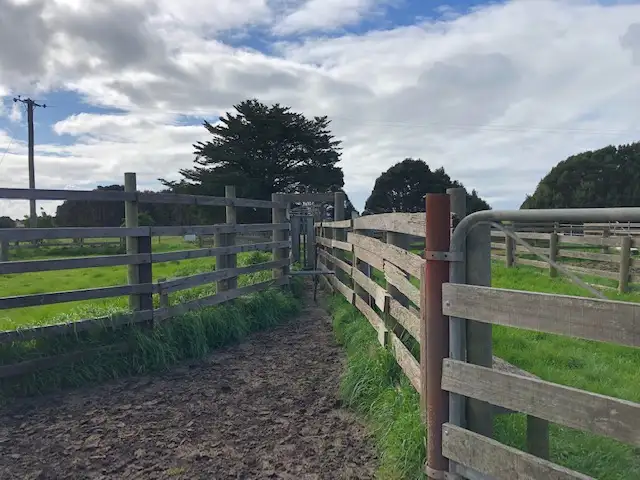 Seventh view of Homely rural property listing, "Bokara" Heddles Road, North Road & Snodgrass Lane, Loorana TAS 7256