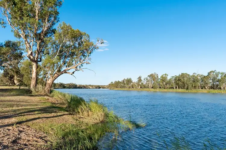 Sixth view of Homely rural property listing, 77 Promnitz Road, Waikerie SA 5330