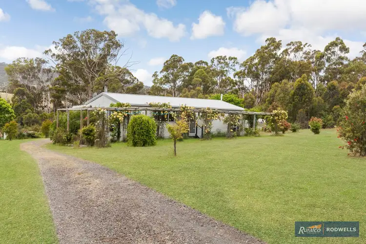 Main view of Homely house listing, 375 Clonbinane Road, Clonbinane VIC 3658