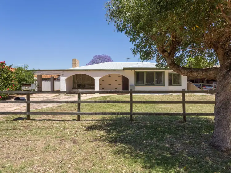 Main view of Homely house listing, 31 Seaforth Avenue, Gosnells WA 6110