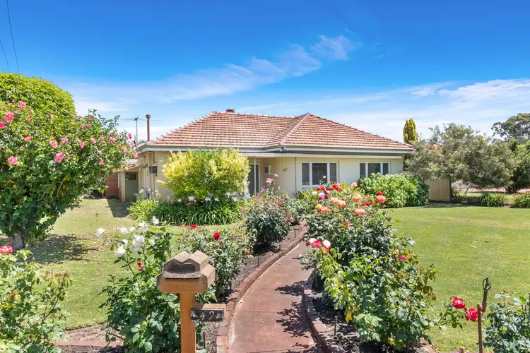 42 Swan View Terrace, Maylands WA 6051