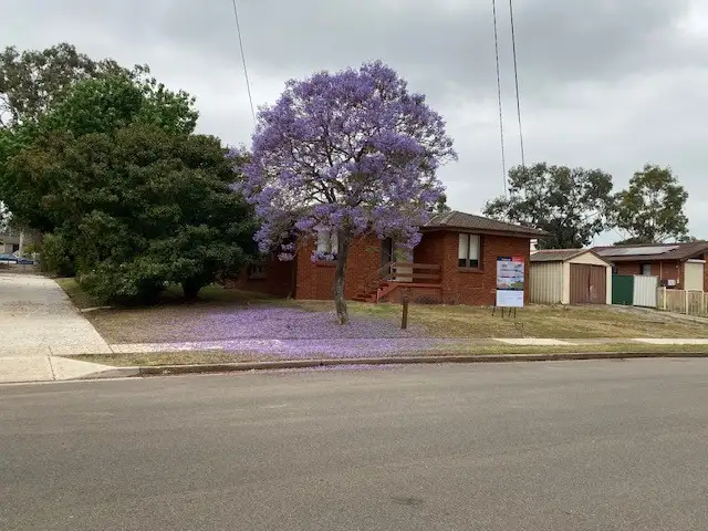 Main view of Homely house listing, 37 Keesing Crescent, Blackett NSW 2770