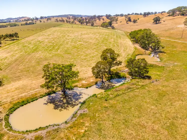Fifth view of Homely rural property listing, 5689 Main South Road, Myponga SA 5202
