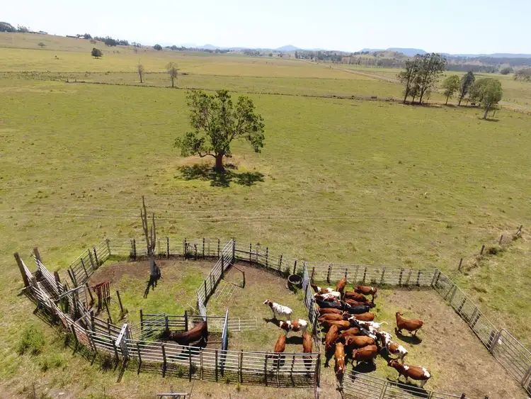 Fourth view of Homely rural property listing, 75 Backmede Road, Backmede NSW 2470