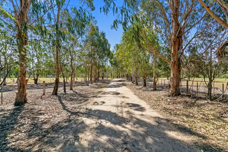 Third view of Homely rural property listing, 90 Bradleys Road, Stradbroke VIC 3851