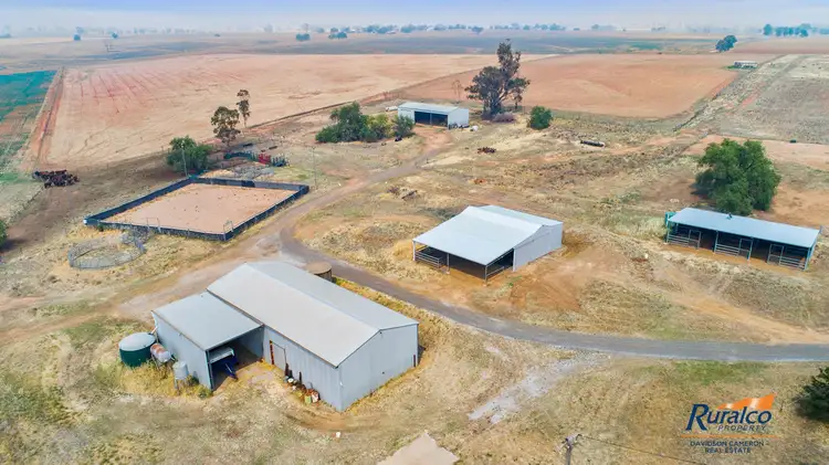 Sixth view of Homely rural property listing, Hazeldene 319 Bayliss Lane, Tamworth NSW 2340