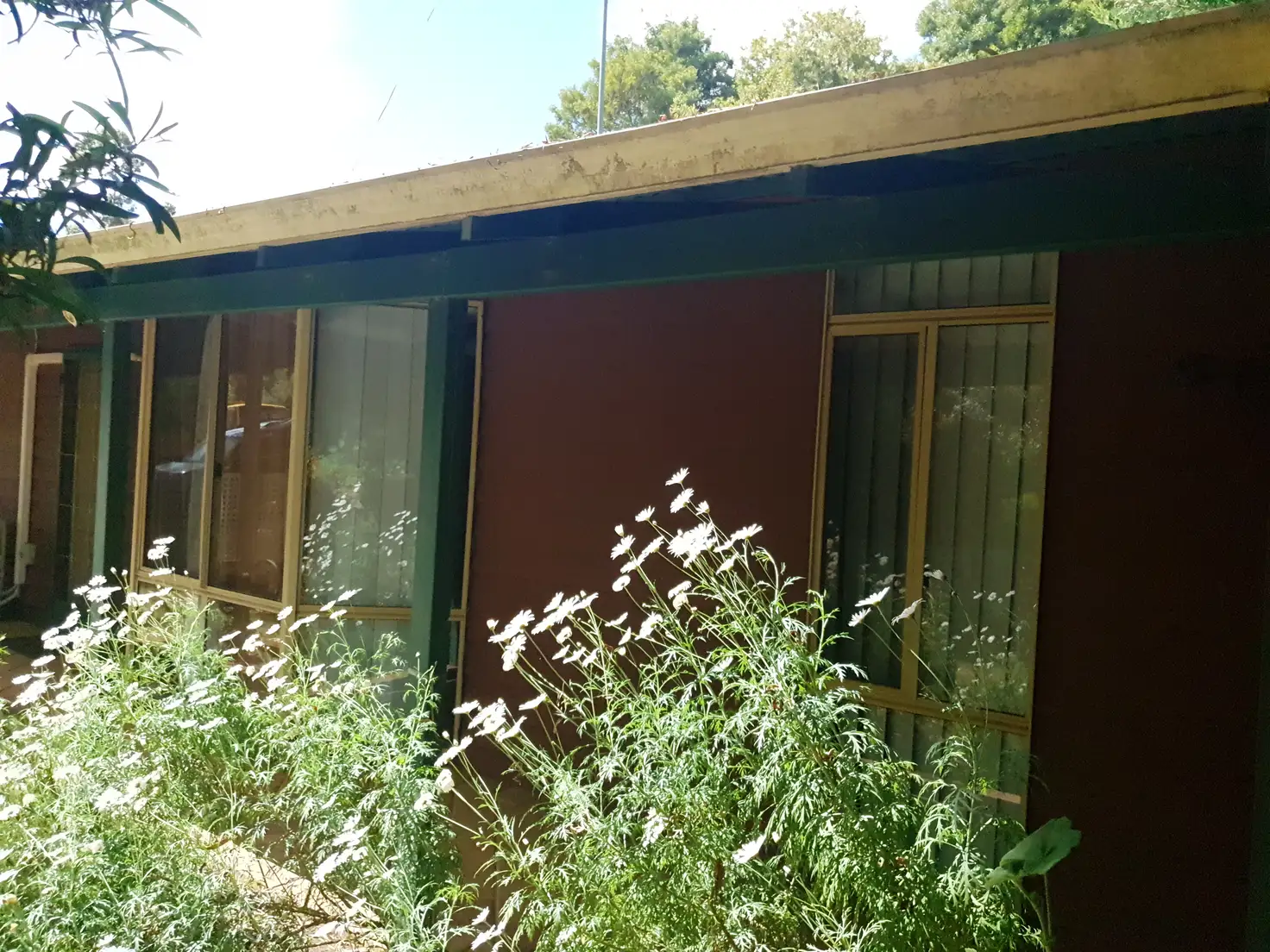 Main view of Homely house listing, 36A Forrest Street, Bridgetown WA 6255