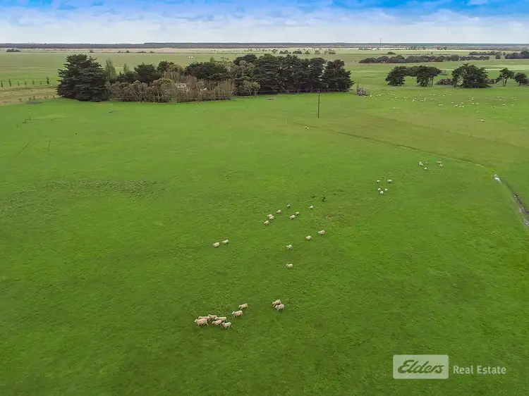 Fourth view of Homely rural property listing, 27202 Princes Highway, Thornlea SA 5280